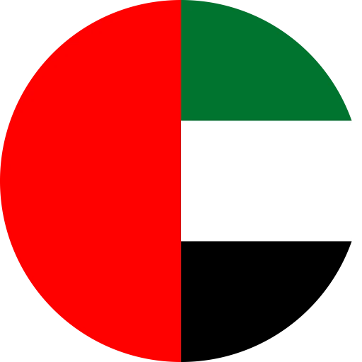 Dubai (UAE) Flag
