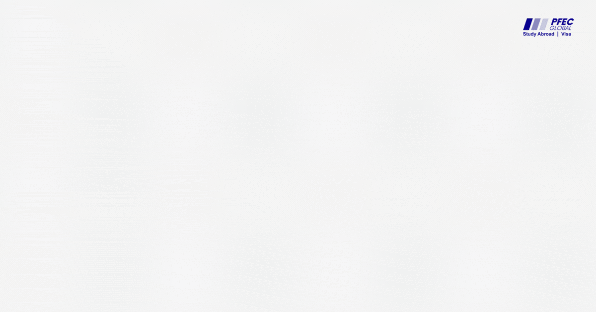 Cost of Living Pie Chart in New Zealand