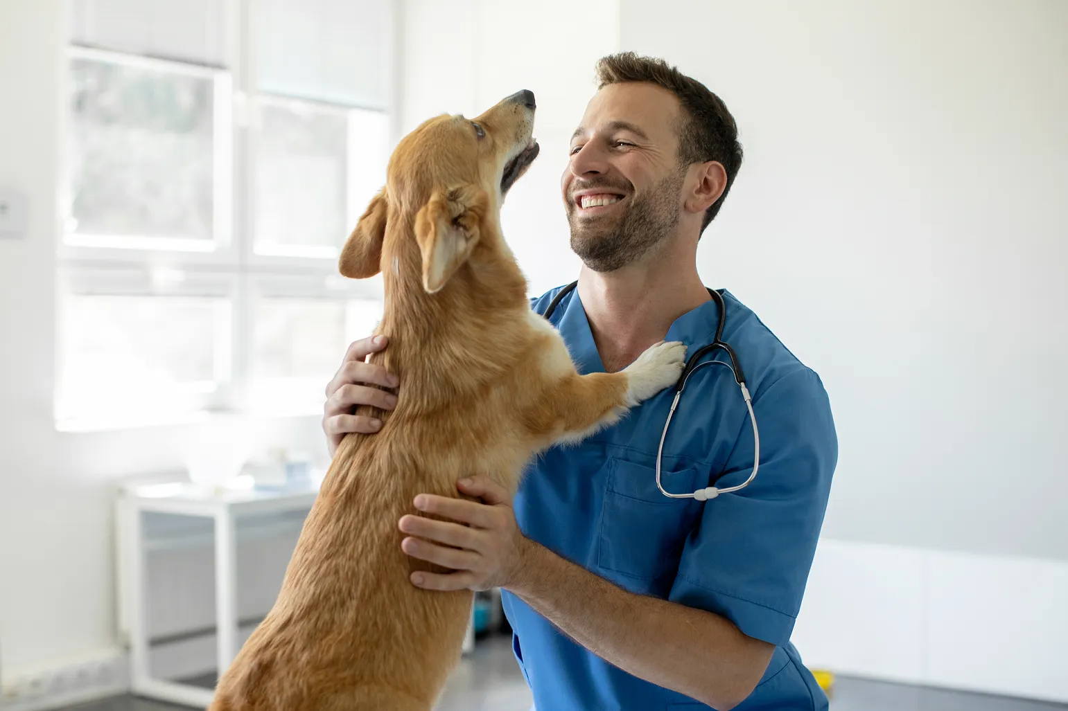Veterinary