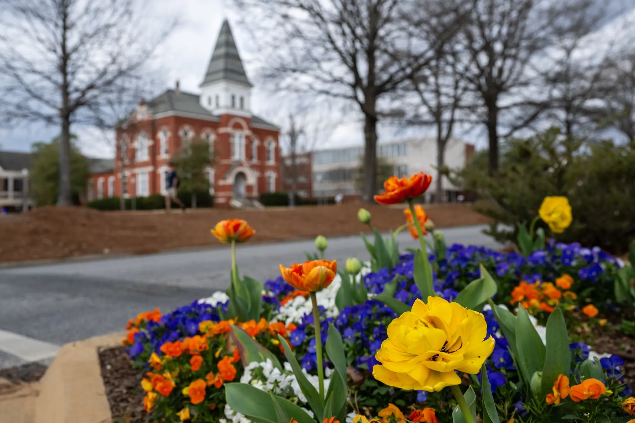 Auburn, Alabama Campus