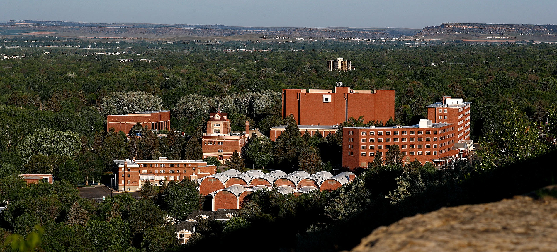 Montana State University Billings (MSM)